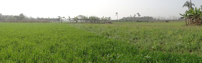 অরূপ (৮১-৮৭)